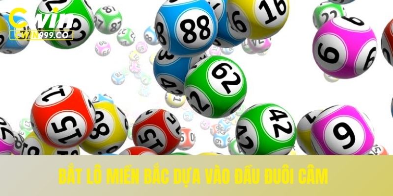 Bắt lô miền Bắc dựa vào đầu đuôi câm