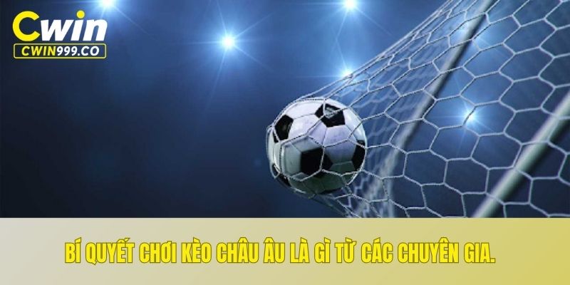 Bí quyết chơi kèo Châu Âu là gì từ các chuyên gia.