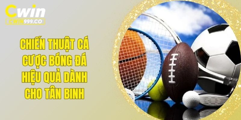cá cược bóng đá