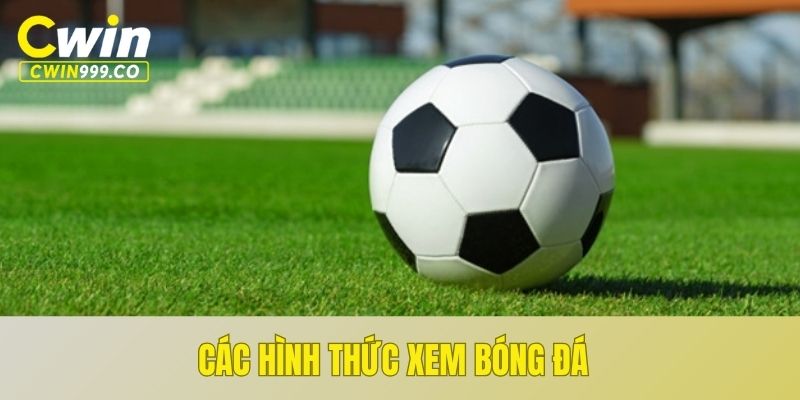 Theo dõi đá bóng với nhiều hình thức khác nhau