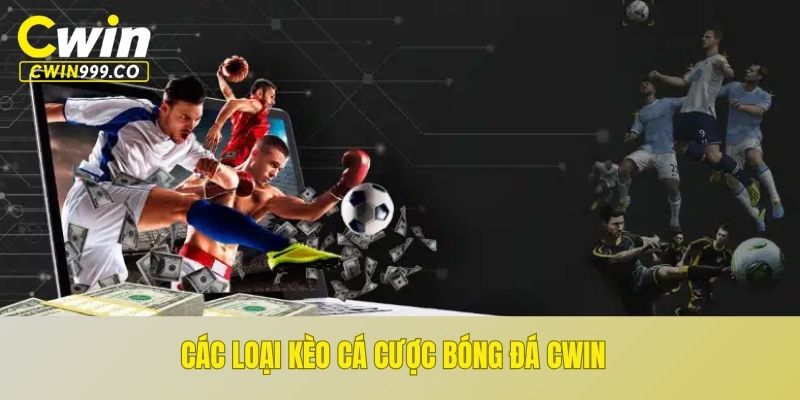 Các loại kèo cá cược bóng đá CWIN