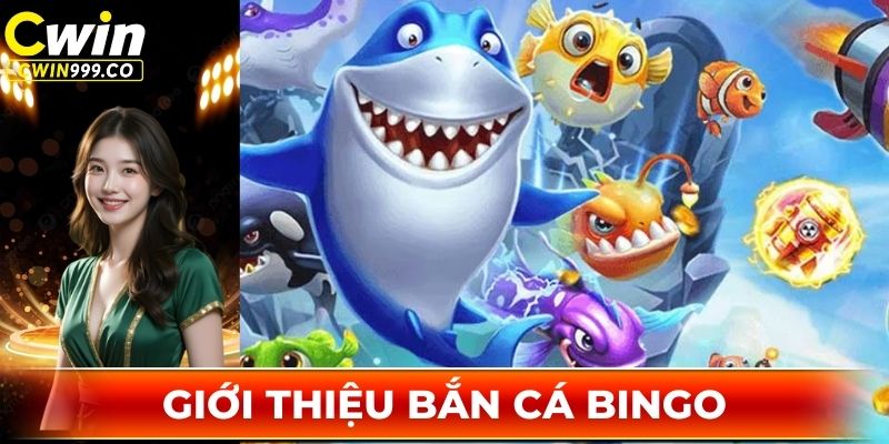 Sân chơi săn boss Bingo cực đình đám năm 2025