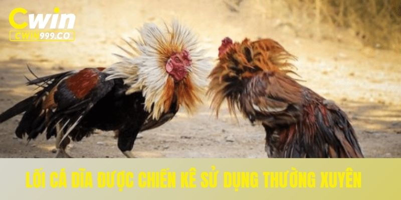 Lối cá dĩa được chiến kê sử dụng thường xuyên