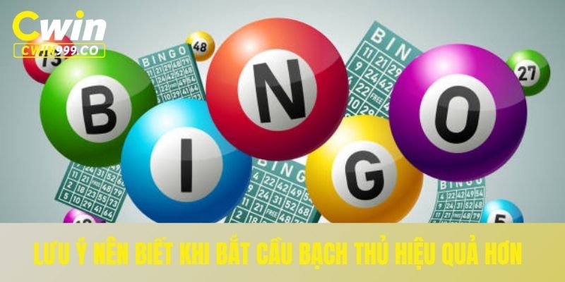Lưu ý nên biết khi bắt cầu bạch thủ hiệu quả hơn