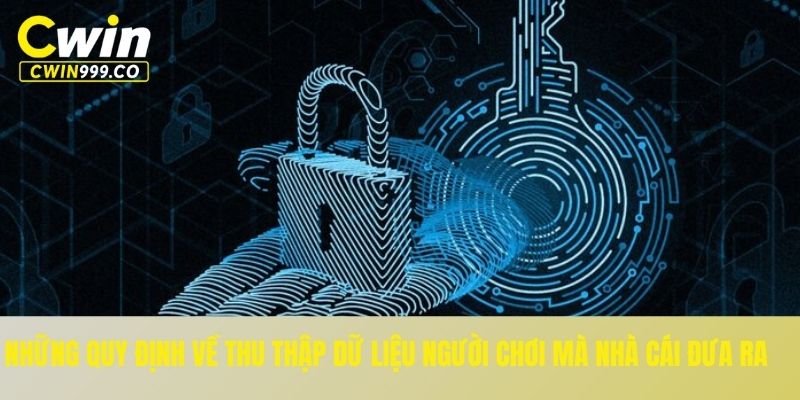 Những quy định về thu thập dữ liệu người chơi mà nhà cái đưa ra
