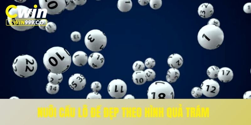 Nuôi cầu lô đề đẹp theo hình quả trám