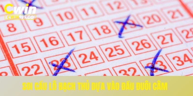 Soi cầu lô bạch thủ dựa vào đầu đuôi câm