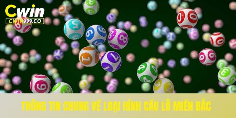 Thông tin chung về loại hình cầu lô miền Bắc
