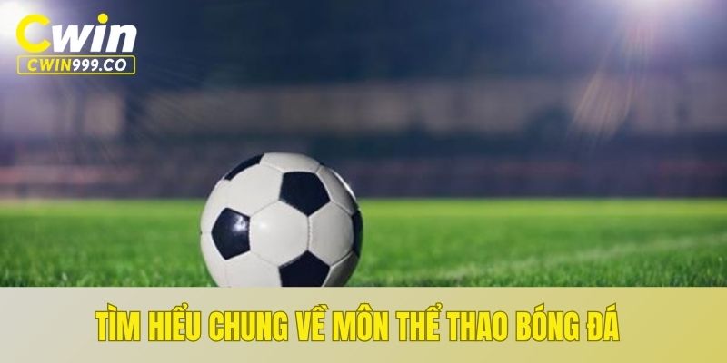 Tìm hiểu chung về môn thể thao bóng đá - Football