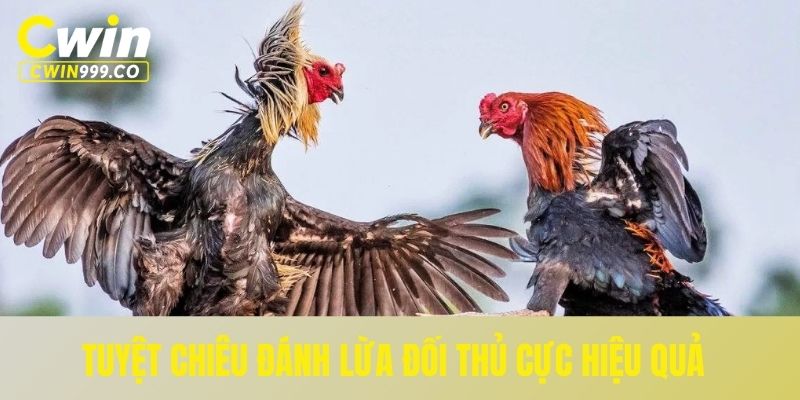 Tuyệt chiêu đánh lừa đối thủ cực hiệu quả